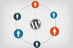 WordPress Custom Fields