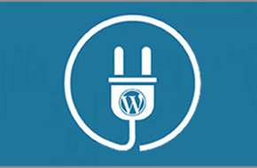 WordPress Custom Plugins