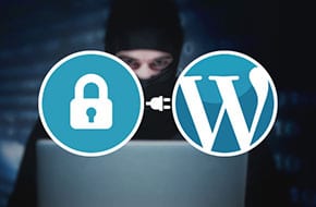 WordPress Plugin Security Full Disclosure vs Responsible